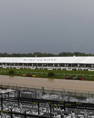 Weather dampens handle on Black-Eyed Susan card