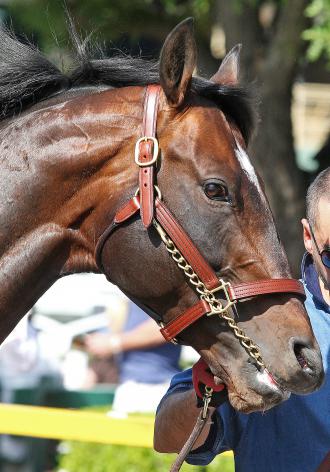 Hollywood: Acclamation still getting back in gear
