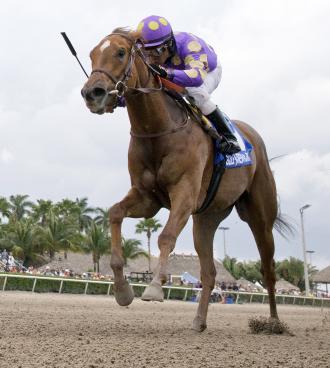 Awesome Banner, Ballet Diva may be vulnerable again at short prices - Daily Racing Form