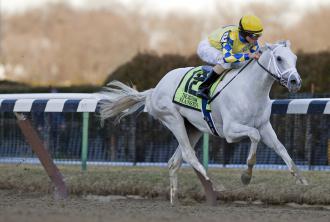 Giant SurprisexNiji‘s Grand Gi