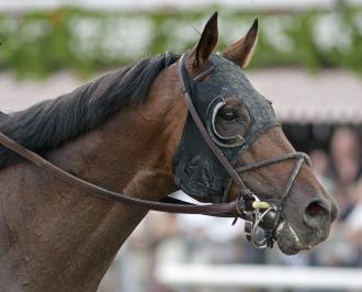 Woodbine: MOONSHINE Mullin fresh for optional claimer