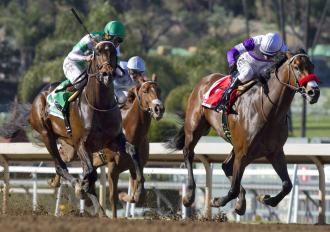What information does Santa Anita Derby offer on its entries?