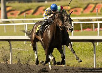 Hollywood Park: Trainer says horse at center of rescinded claim is fine