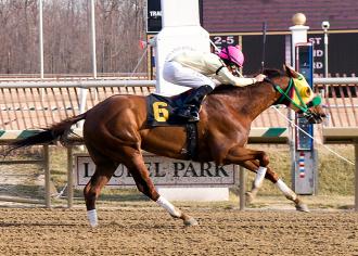 Rapid Redux winning 15th straight