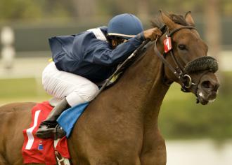 Arlington Park: Weld looking for fourth American Derby win