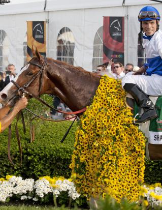 preakness 2011. Preakness 2011 Odds, Updated: