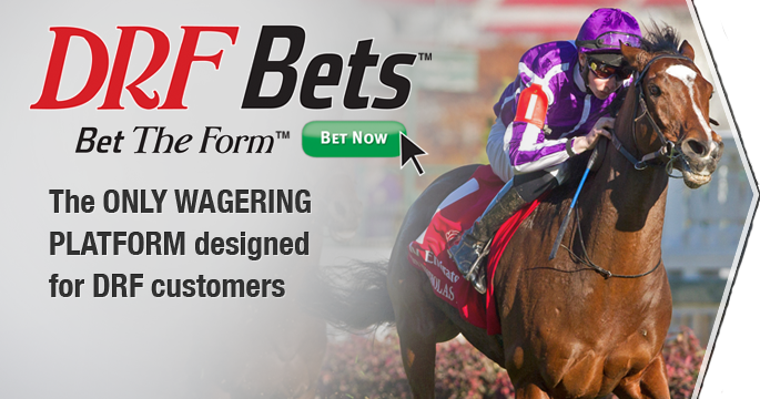 DRF Bets DRF Bets