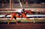 Affirmed in 1978