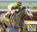 Graydar wins the Donn