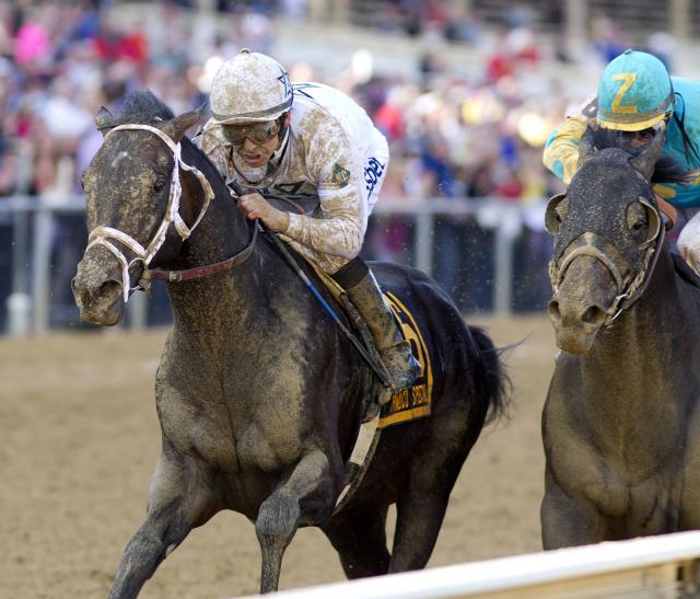 Revolutionary wins the Pimlico Special Winners and scenes from the