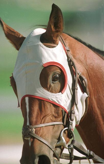 horse-racing-blinkers