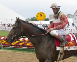 Orb and Joel Rosario after the Preakness Orb and Joel Rosario after the Preakness