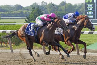 Shackleford/Met Mile Shackleford/Met Mile
