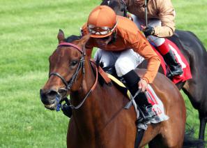 Strathnaver, Bewitch Stakes Strathnaver, Bewitch Stakes