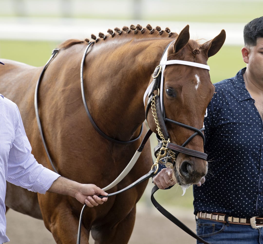 Disarm earned 40 Kentucky Derby points for finishing second in the Louisiana Derby at Fair Grounds. He would earn another 20 points with a win in the Lexington on Saturday at Keeneland.