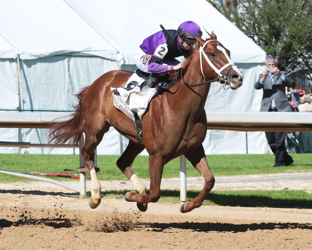  Eyeing Clover is a candidate for the Texas Derby on May 29 at Lone Star.
