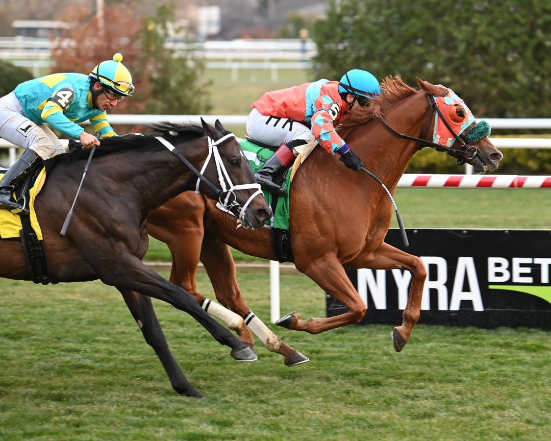 Nothing Better defeats Anaconda in the Aqueduct Turf Sprint Championship last November. The top five finishers from that race meet in Thursday's final race.