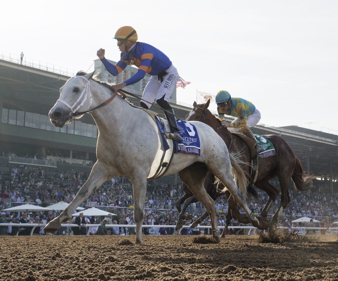 White Abarrio wins Breeders' Cup Classic at SA Nov 4 2023