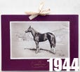 1944 thumbnail