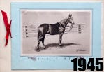 1945 thumbnail