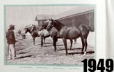 1949 thumbnail