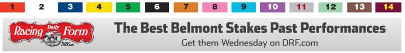 Belmont Stakes PPs