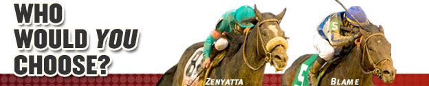 Zenyatta Blame 2010 Horse of the Year