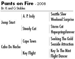 Pants on Fire