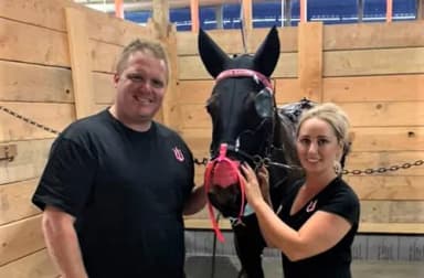 Meadowlands: Tritton sends out new arrival and awaits his next purchase