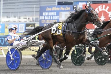Woodbine Mohawk Park: Ardonne seeks to keep beating the odds in Wellwood elims
