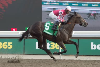 Winterberry steals the show from stablemate in Bison City Stakes