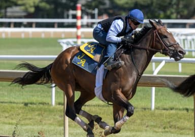 Two-time Grade 1 winner Scottish Lassie returns in allowance