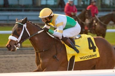 Piper’s Gift runs away with Princess Elizabeth Stakes
