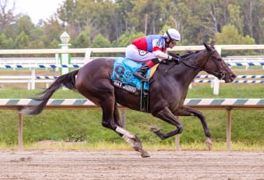 Foxy Junior continues love affair with Maryland, takes Twixt Stakes