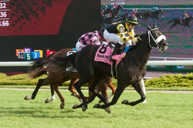 Church and State ($47.70) surprises in Toronto Cup Stakes