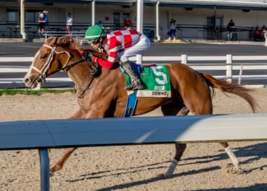 Actis earns first stakes win in My Trusty Cat romp