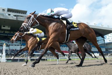 Dixie Law noses Meilani in Ruling Angel Stakes
