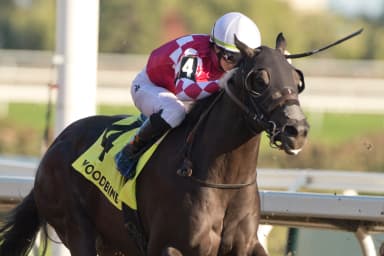 Jupiter finds first stakes victory in Display