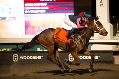 Duckduckduck ($74.50) uses wide rally to upset Clarendon Stakes