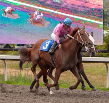 Run Rudolf surges late to take S.W. Randall Plate