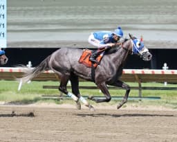 Front-running tactics prove best again for Summer’s Comin in Spruce Fir