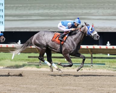 Front-running tactics prove best again for Summer’s Comin in Spruce Fir