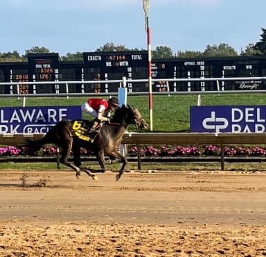 Regaled finds first stakes victory in Delaware Handicap