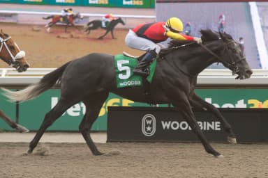 Casson prevails in King Corrie Stakes