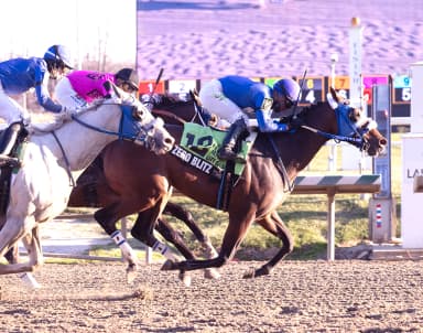 Zero Blitz surprises in City of Laurel Stakes