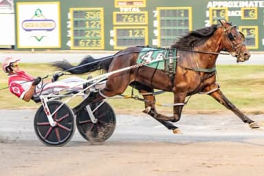 Batavia:  Bartlett's six-bagger includes New York Sire Stakes success