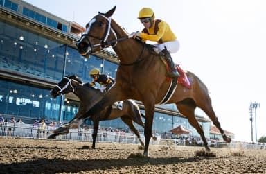 Sassi Strutter hands Synthetic her first loss in Ova Charged Stakes
