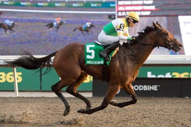 Borealis Trail runs down Mansetti to upset Ontario Derby