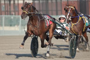 Batavia:  Burke brings AI, Who's Eyes Blues in for NYSS on Wednesday