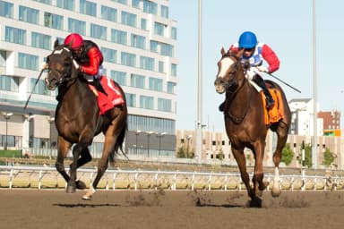 Cool Kiss rallies late for Durham Cup upset